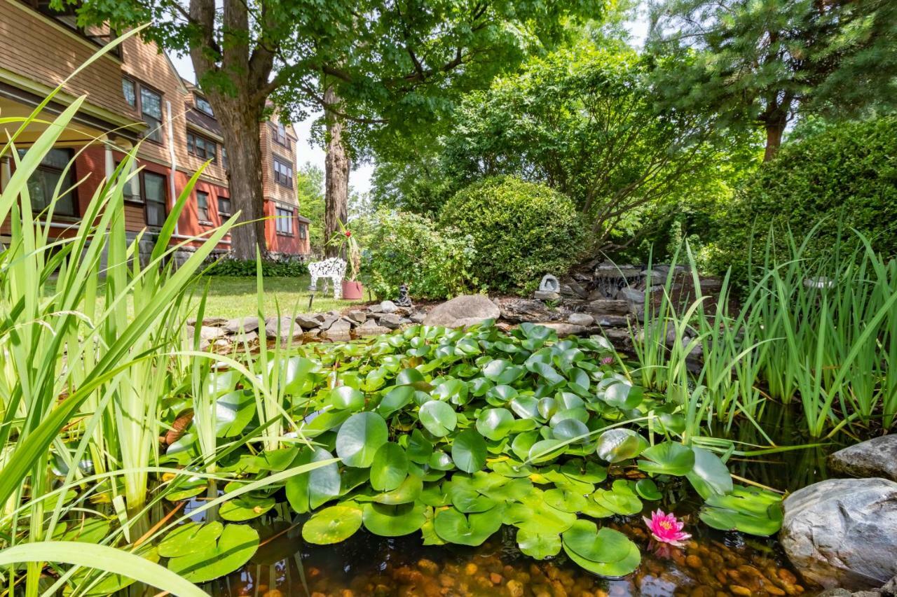 ซาราโตกา ดรีมส์ เบด แอนด์ เบรคฟาสต์ Bed & Breakfast ซาราโทกาสปริงส์ ภายนอก รูปภาพ